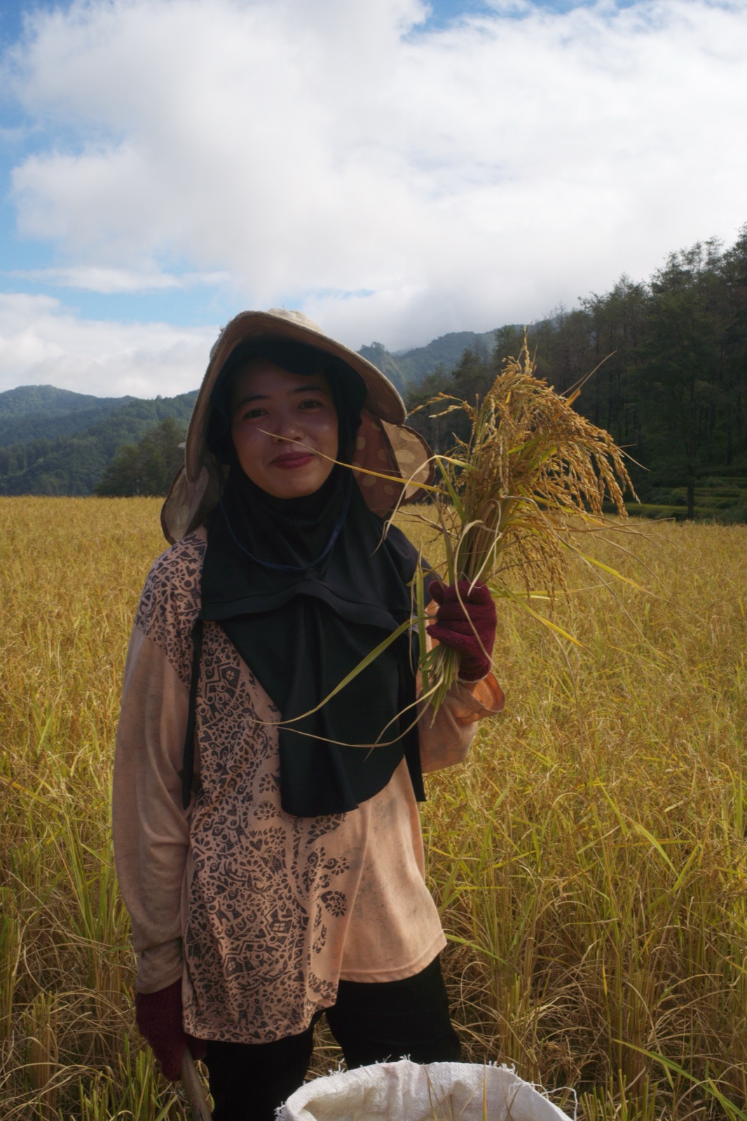 Keluarga petani di tengah sawah saat panen