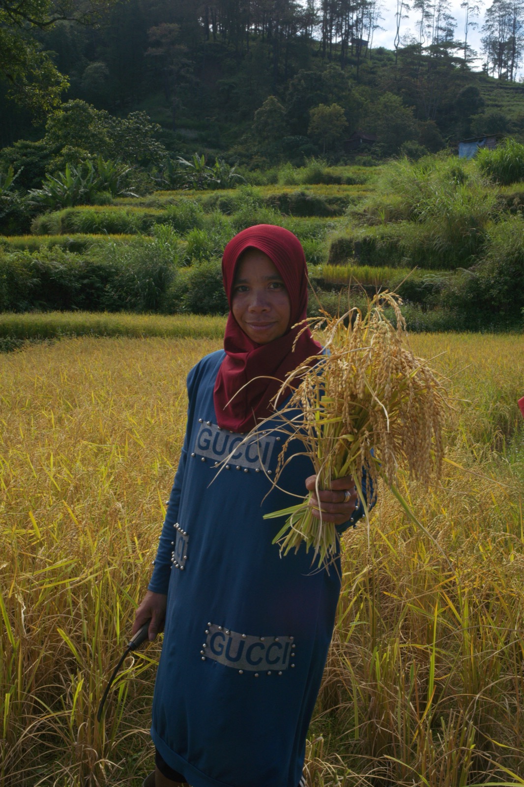 Ibu dan anak-anak di sawah saat panen padi